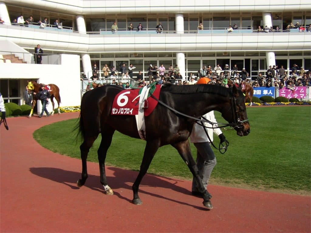 ゼンノロブロイ2頭の後継種牡馬で捲土重来なるか?