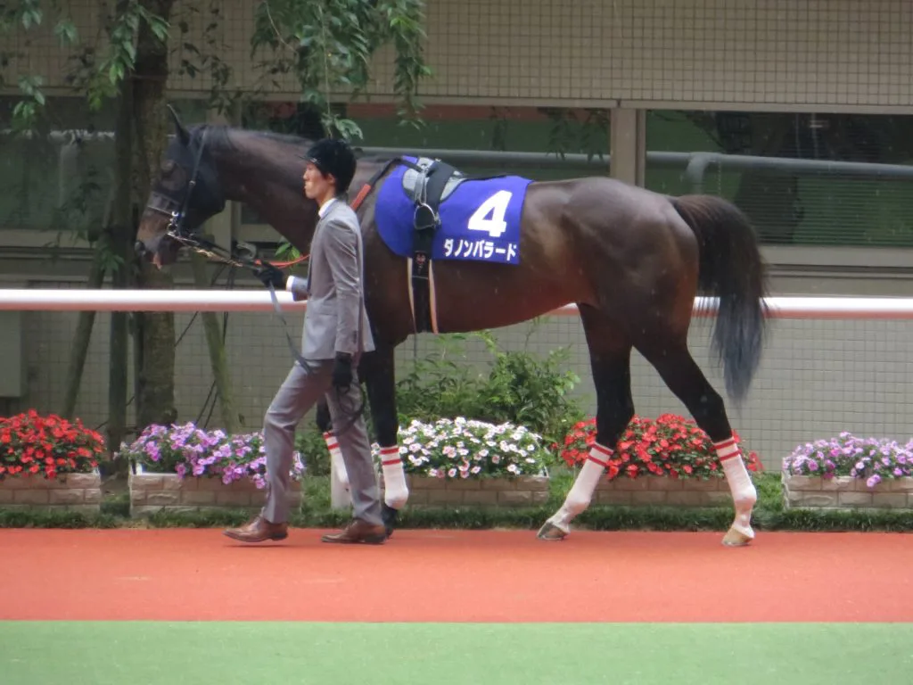 引越し先がトルコからイタリアへ!がんばれダノンバラード!