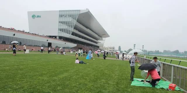 【札幌2歳ステークス予想2023】札幌競馬を締めくくる2歳重賞!ガイアメンテやギャンブルルームなど出走予定馬を考察