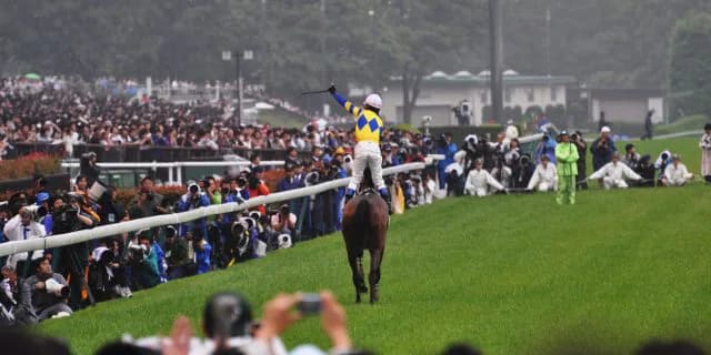 ロジユニヴァース、種牡馬としての秘めた可能性とは?