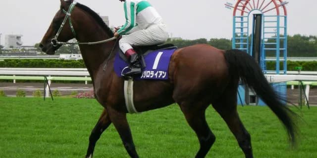 【関屋記念2016予想】鞍上横山典が母父メジロライアンのアルマディヴァンの賞金を稼いでくれる!