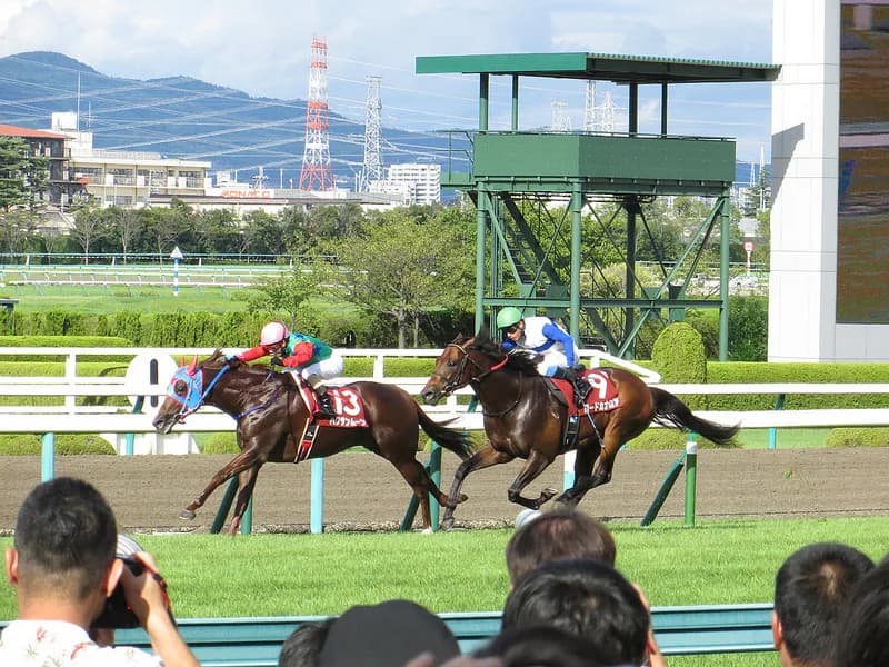 ハクサンムーンが現役引退、種牡馬入り