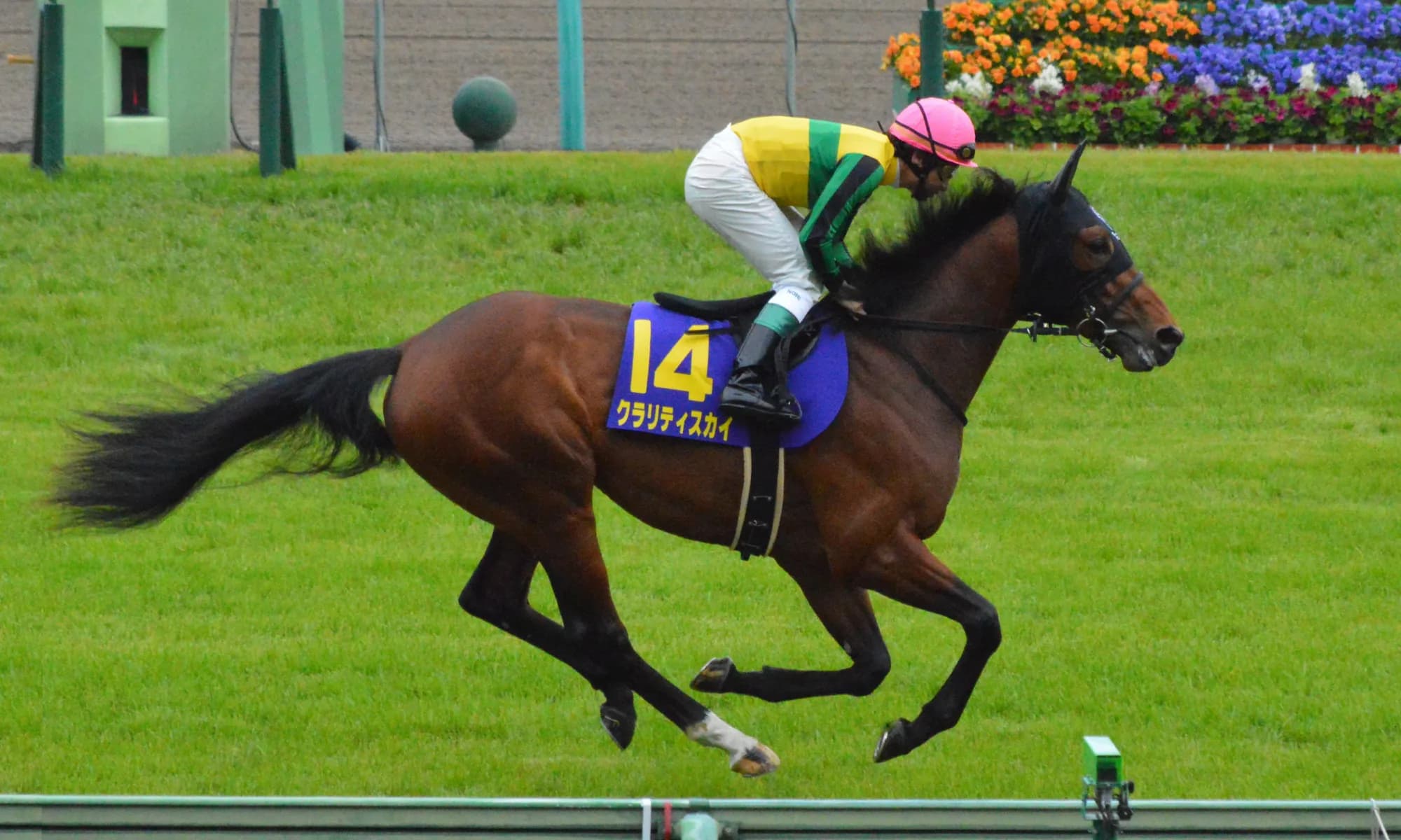 【アイルランドT予想2016】混戦を抜け出すはどの馬か?