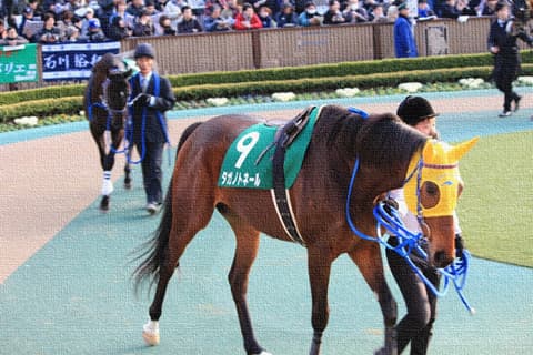 【サマーチャンピオン2016予想】昨年覇者のタガノトネール・斤量57.5キロのハンデを克服し連覇なるか?!