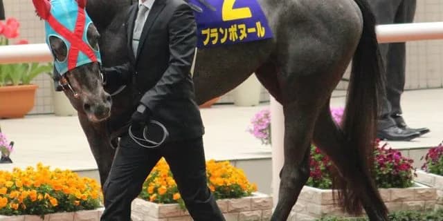 【キーンランドC2016予想】北海道シリーズ2戦2勝のブランボヌール・得意のスプリント路線で古馬を一蹴も!