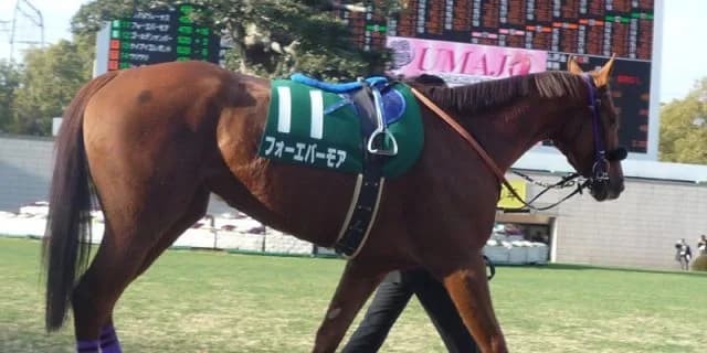 【クラスターC2016予想】昨年の覇者・ダノンレジェンドが斤量60キロで連覇なるか?!