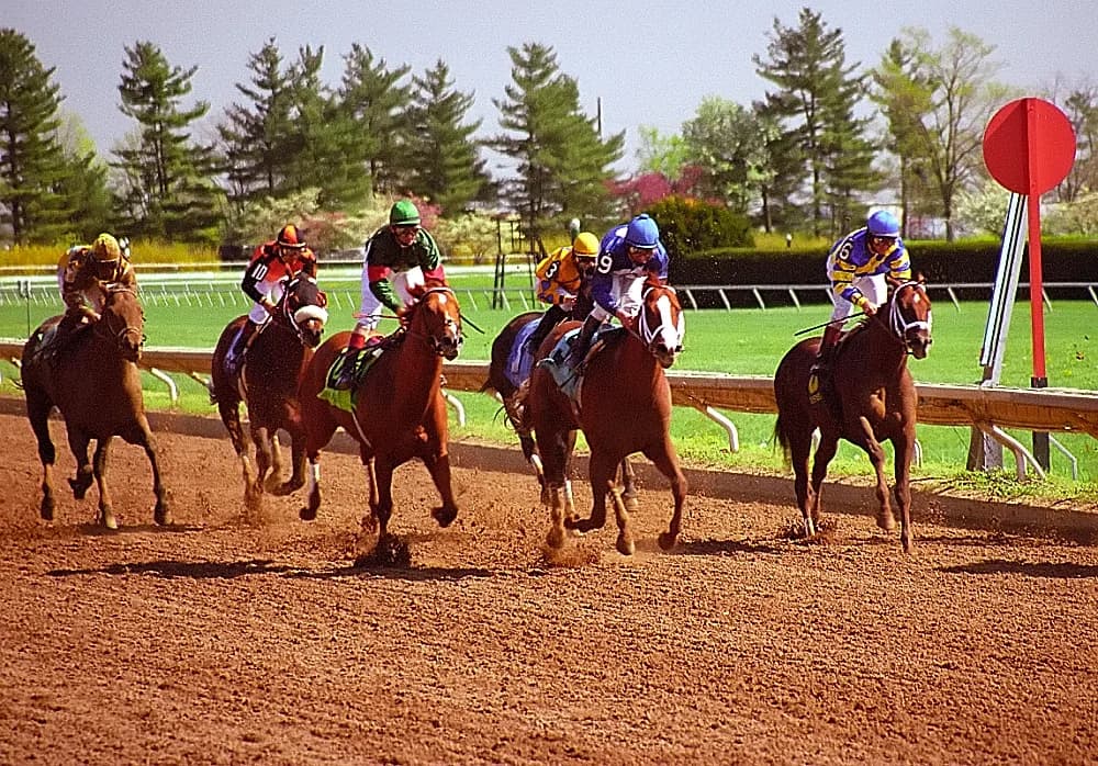 【キーンランドカップ2016予想】これからの短距離界を担う逸材ナックビーナスが古馬勢を一蹴する!