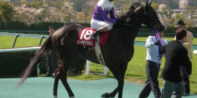 リーチザクラウン社台スタリオンステーションへ