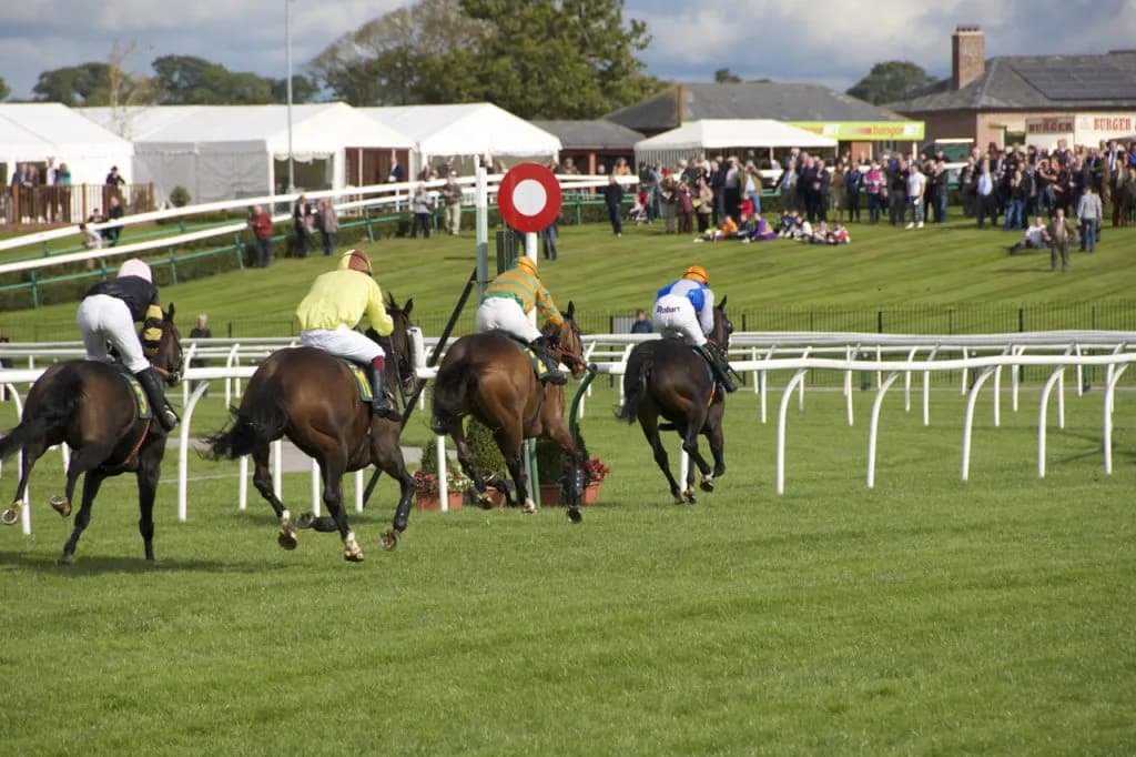 オリンピックに甲子園。それでも1番楽しいのは競馬。