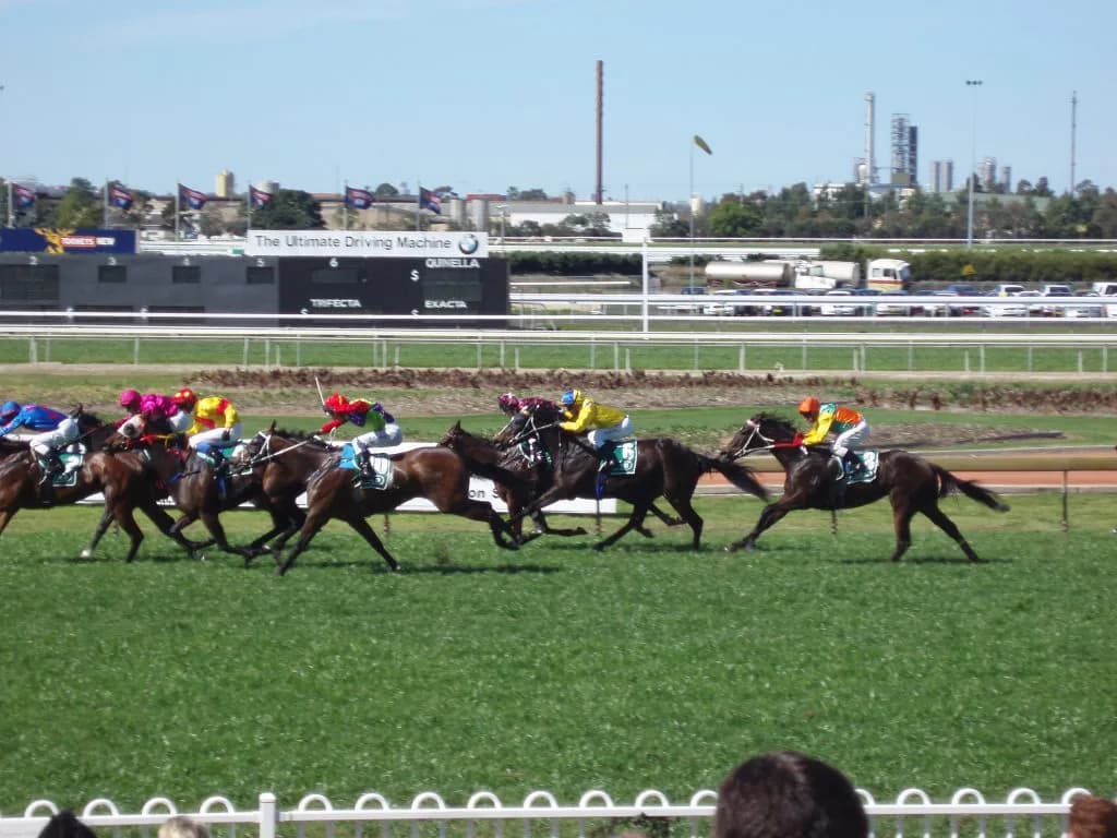 【レパードS2016予想】グレンツェントとケイティブレイブ、買うべき馬はどっちだ?!秘密兵器の1頭はこの馬!