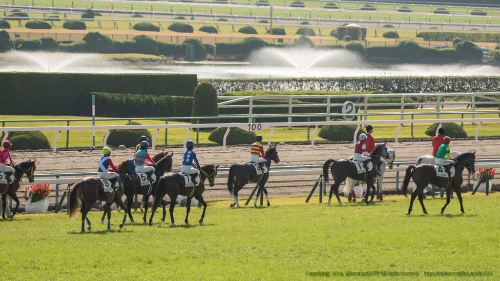 出走するだけで大変、スーパー未勝利