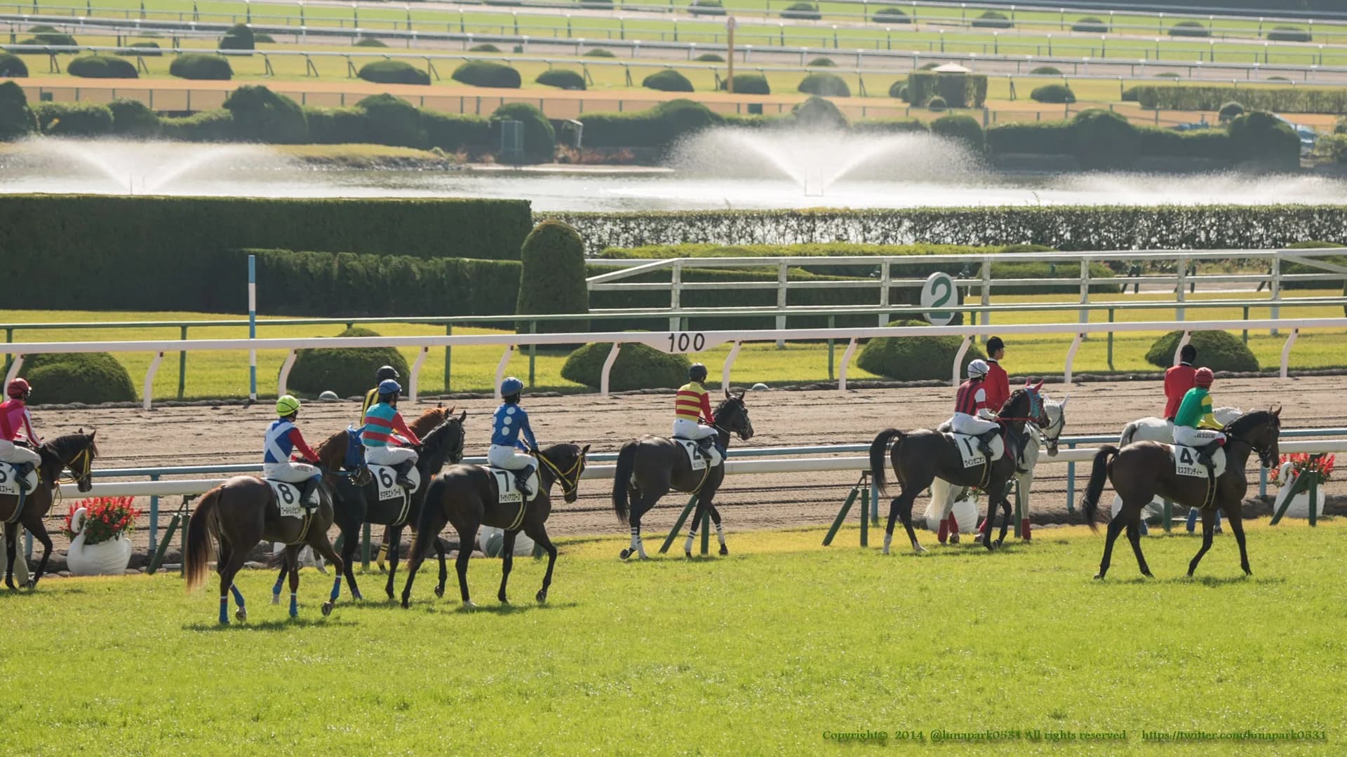 出走するだけで大変、スーパー未勝利