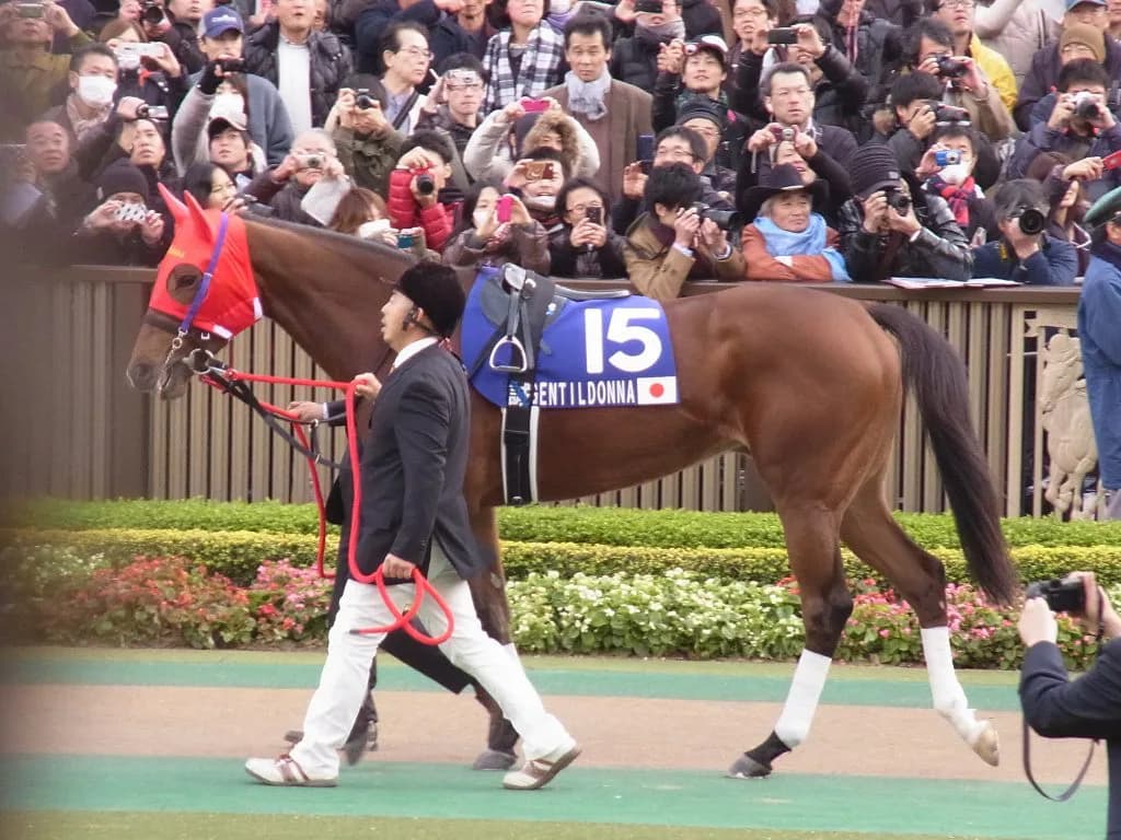 ジェンティルドンナ、史上32頭目の顕彰馬に選定