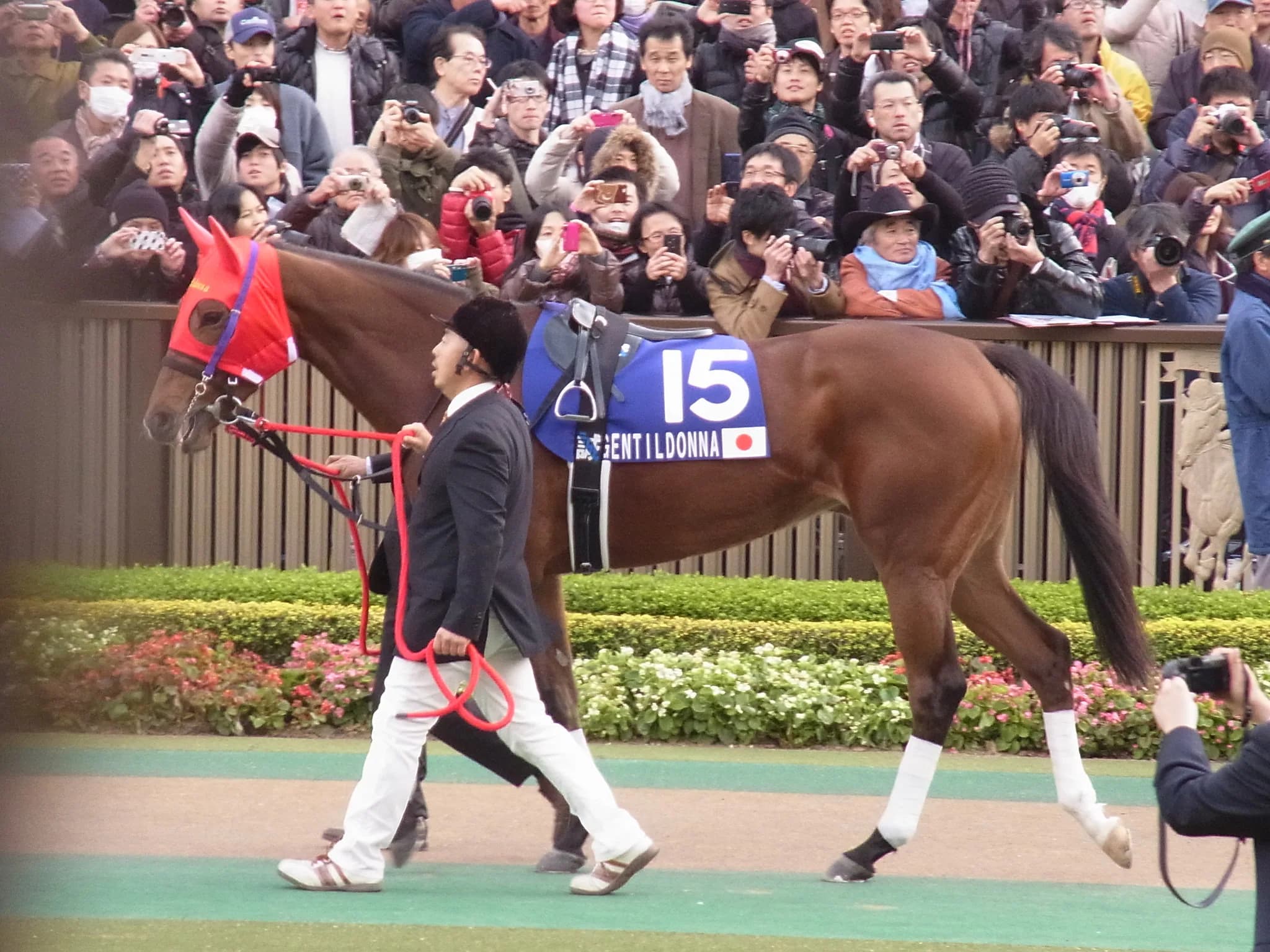 ジェンティルドンナ、史上32頭目の顕彰馬に選定