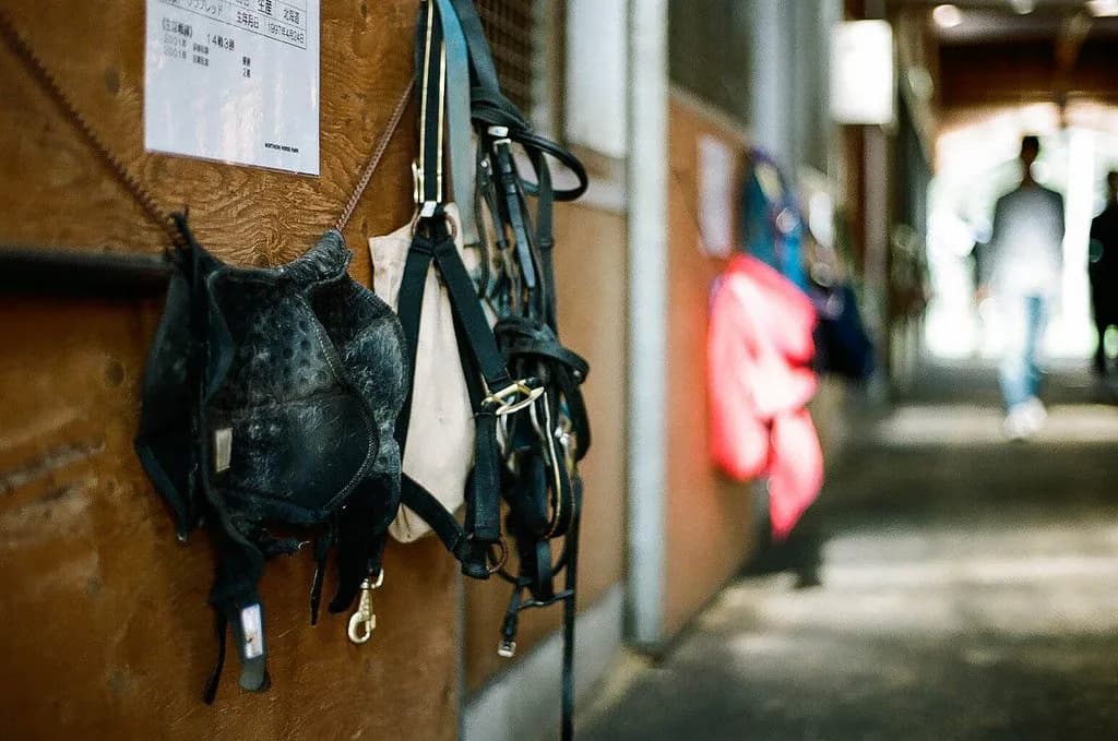 厩舎は”会社”、調教師は”経営者”である