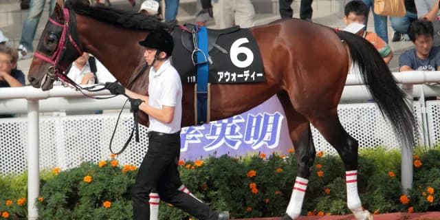 アウォーディーは川崎記念へ、G1初制覇をあげた舞台で復活V狙う