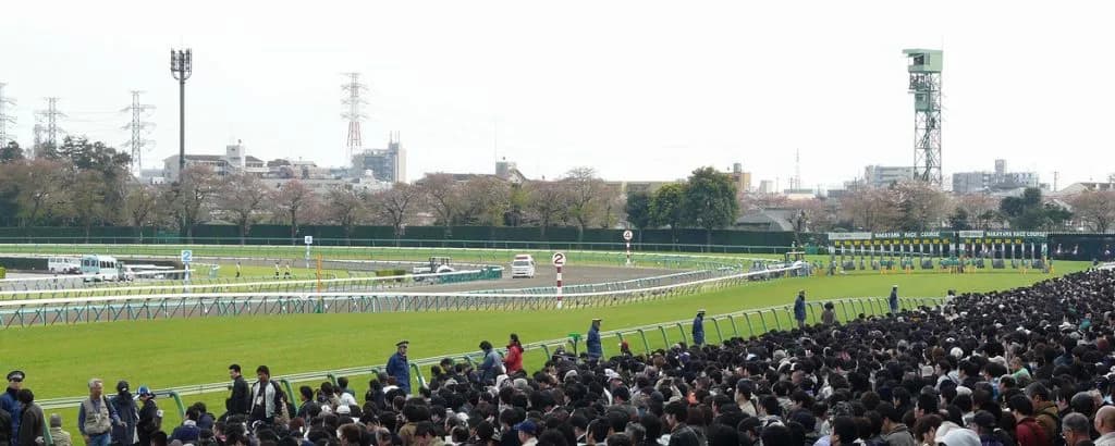 ホープフルSは年末を締めくくるG1レースとなれるか?