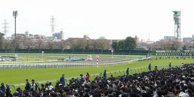 【皐月賞2018予想】今週もロードカナロア産駒に注目!距離別・コース別・馬場状態別成績一覧