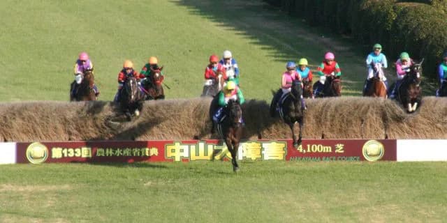 【中山大障害2022予想】オジュウチョウサンやゼノヴァースなど出走予定馬を考察