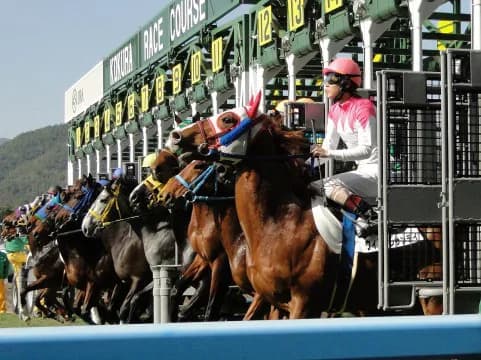 【スプリンターズS予想2016】”逃げる馬”はやはりこの馬しかいない