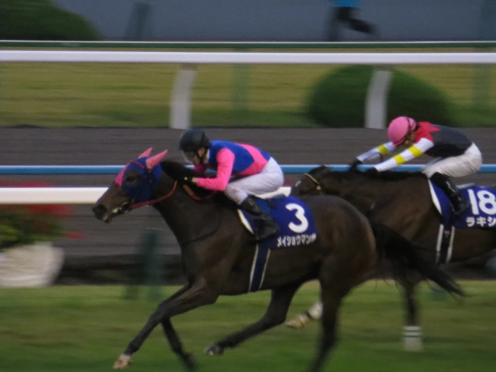 【府中牝馬S2016】メイショウマンボ復活はメンバーが落ちたここ!