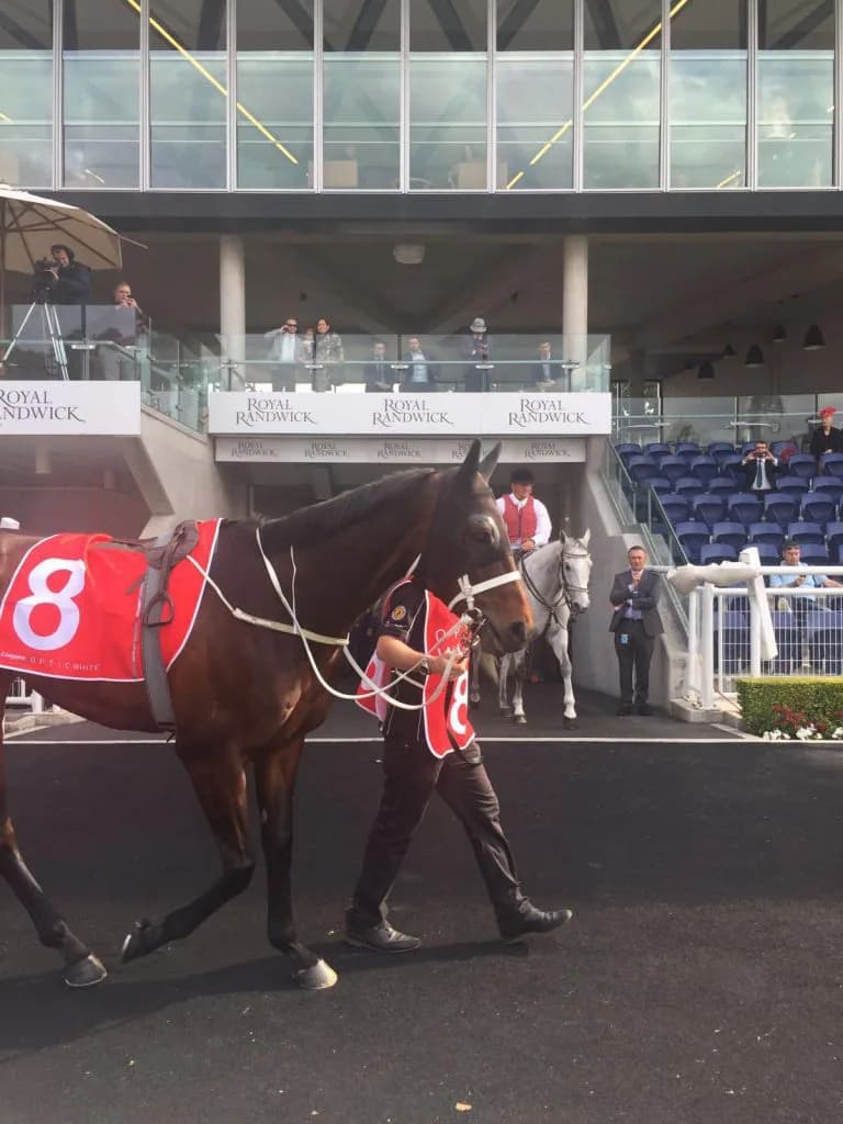 3頭立てのG1が開催されたってホント?