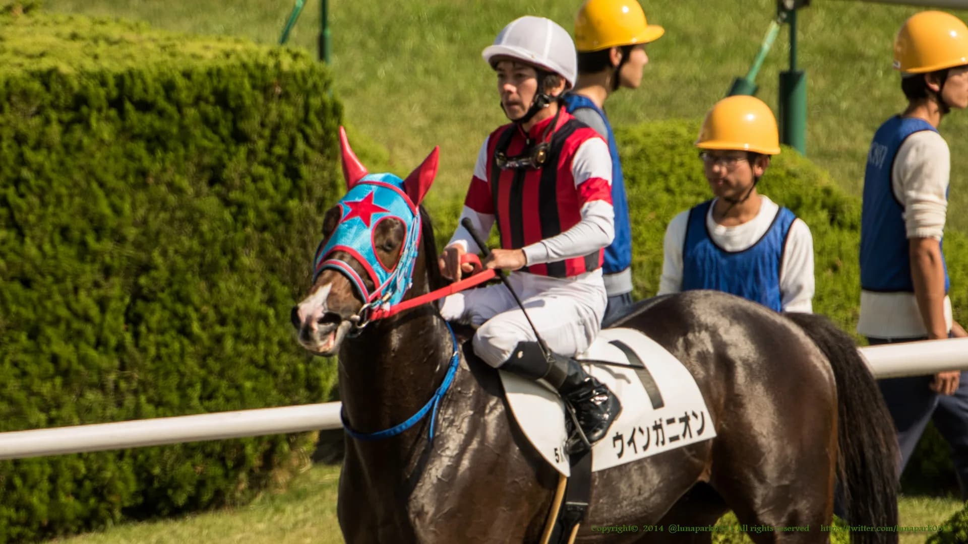 【中京記念2018予想】リピーターの多いレース、今年の該当馬は?