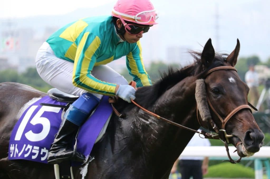 香港・日本で結果を残した良血サトノクラウン、種牡馬としても好調な滑り出し