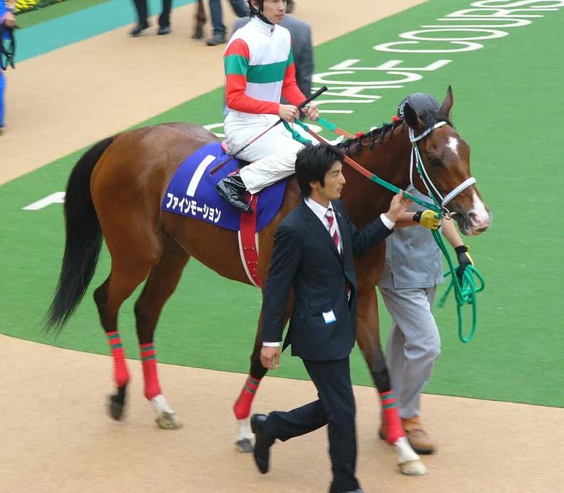 【栄光の瞬間】2002年第7回秋華賞・白秋の淀に咲いた優美な華