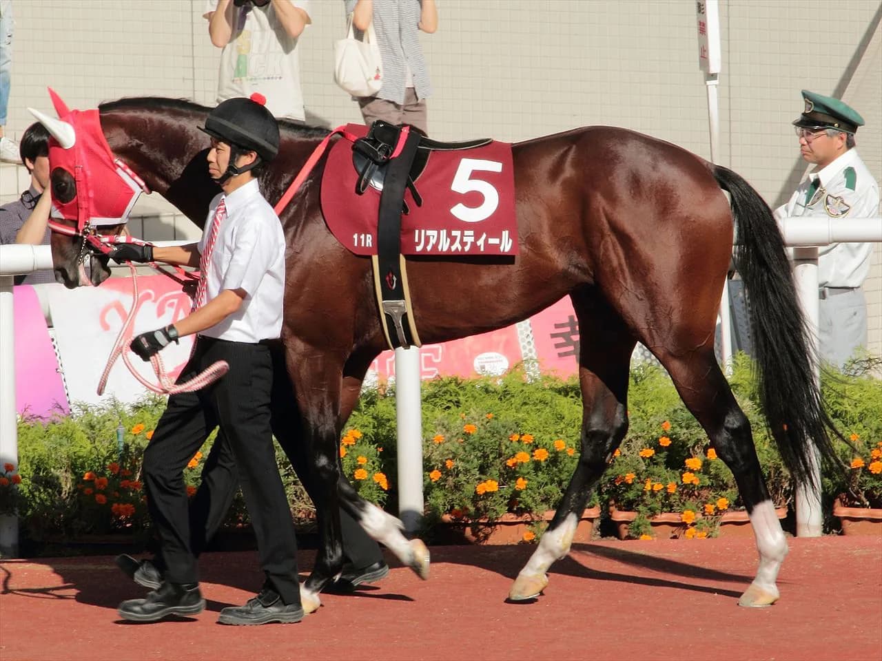 【中山記念2017予想】リアルスティールに立ちはだかるは馬じゃなく人?