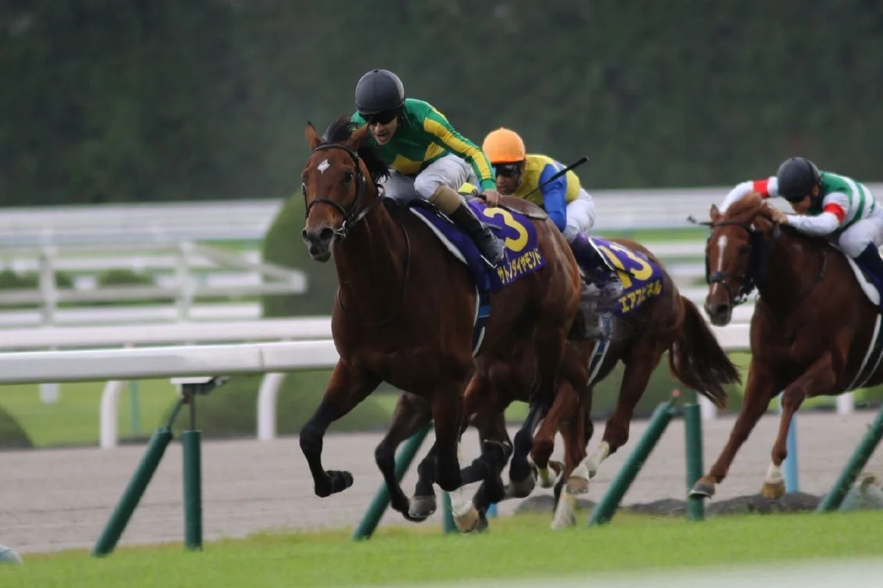 【有馬記念2016予想】絶好調のサトノダイヤモンドとノブレス二頭出し同枠で