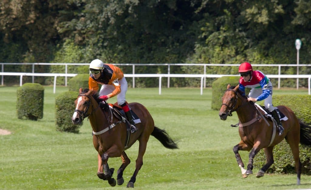 日本の競馬ブックメーカー選びの3つのコツ