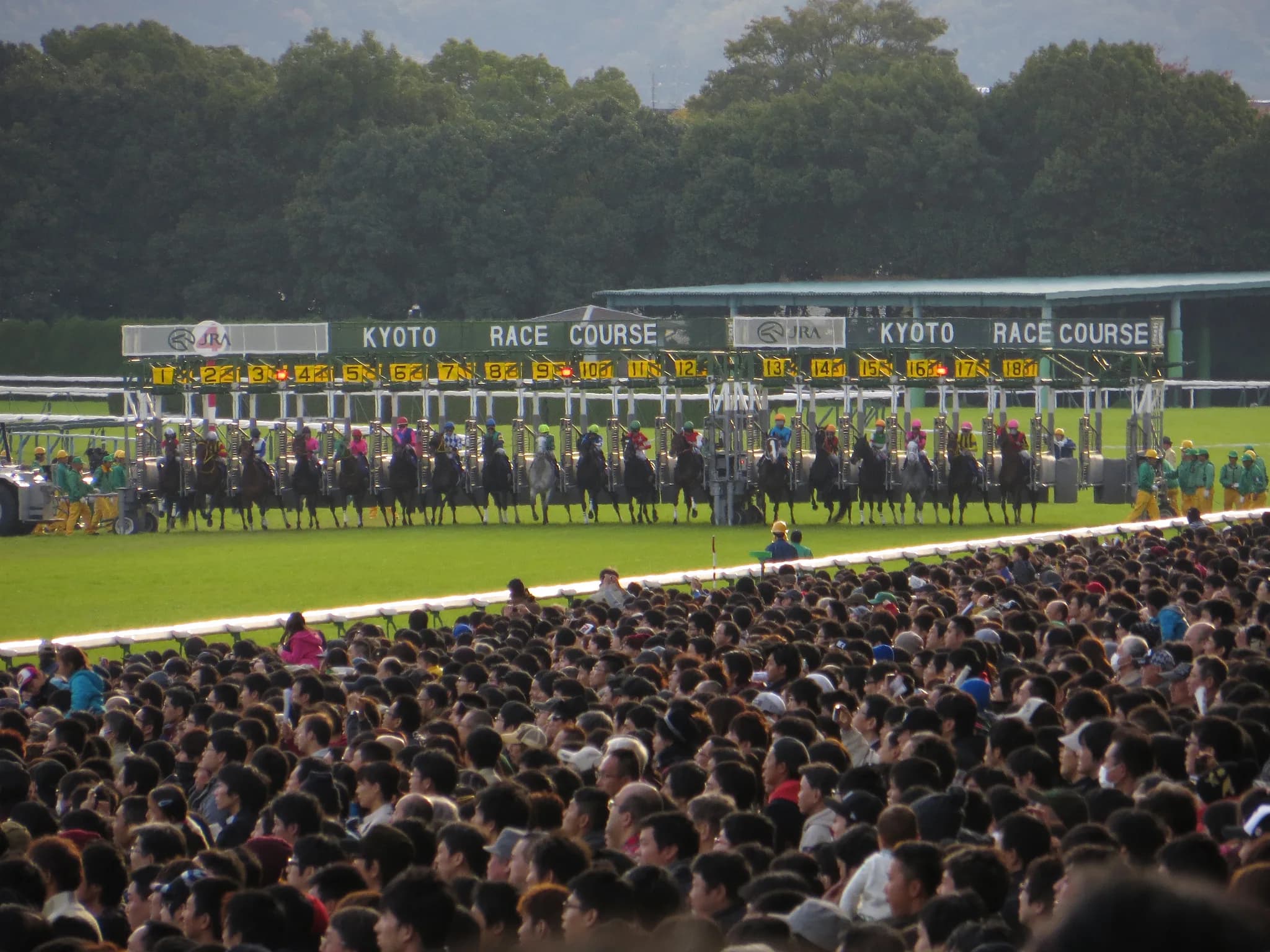 【エリザベス女王杯2016予想】寂しい3歳勢、今年は古馬中心か?