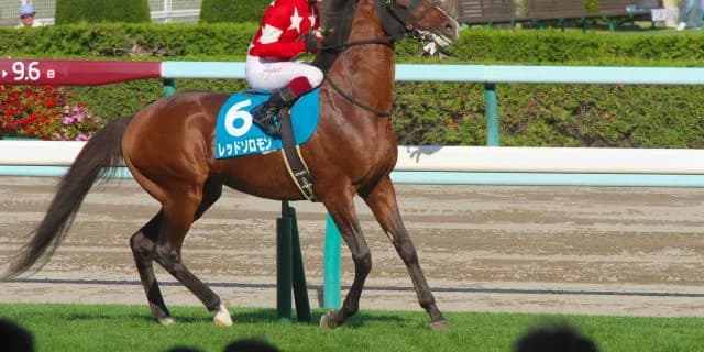 【鳴尾記念2017予想】レッドソロモンこの舞台なら穴でなく軸になりうる