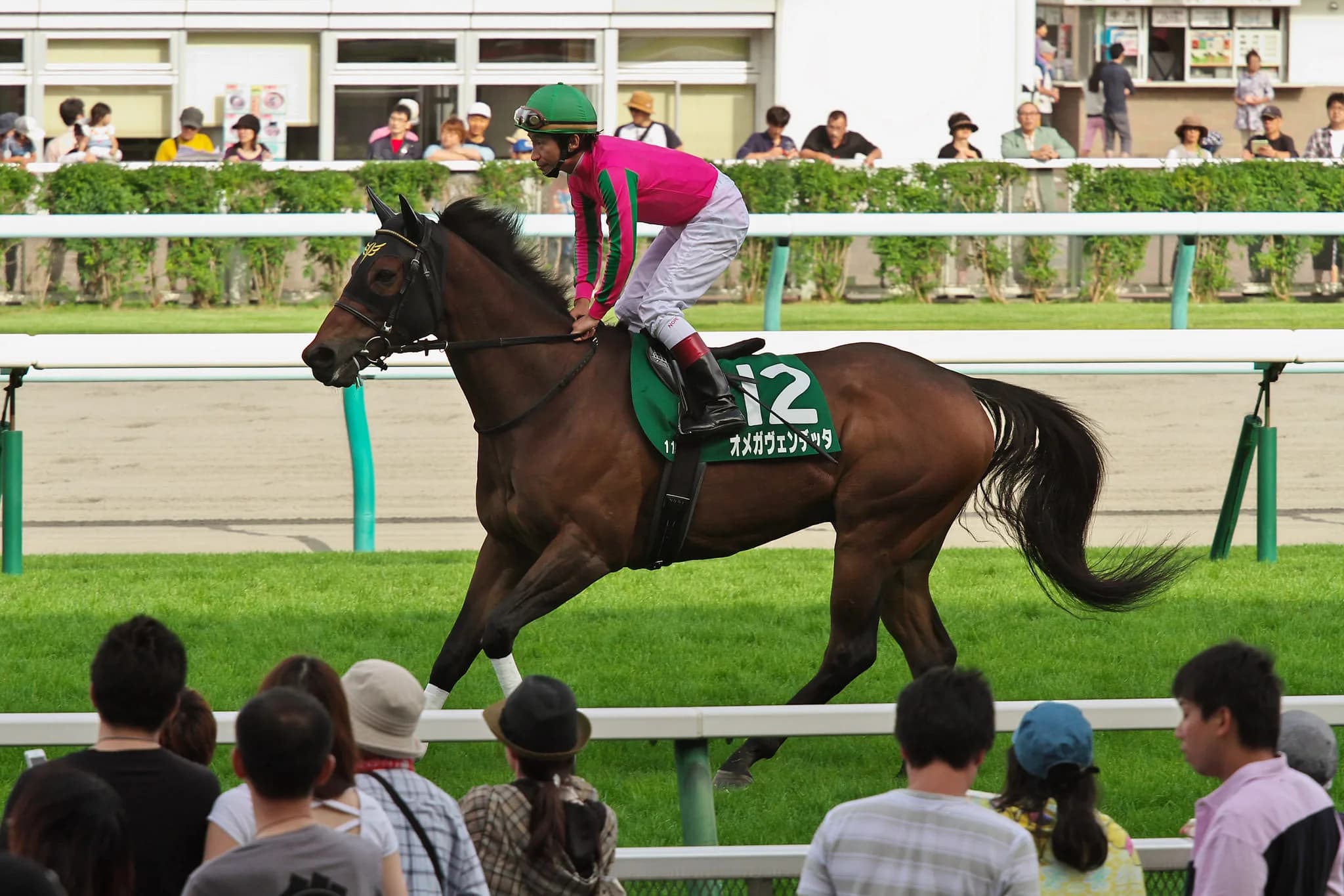 【デイリー杯2歳2016予想】サンライズソアがお祖母さん譲りの末脚で有力馬を差し切る!