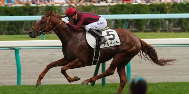 【オールカマー2017】レース展望、有力馬「5頭」の見解