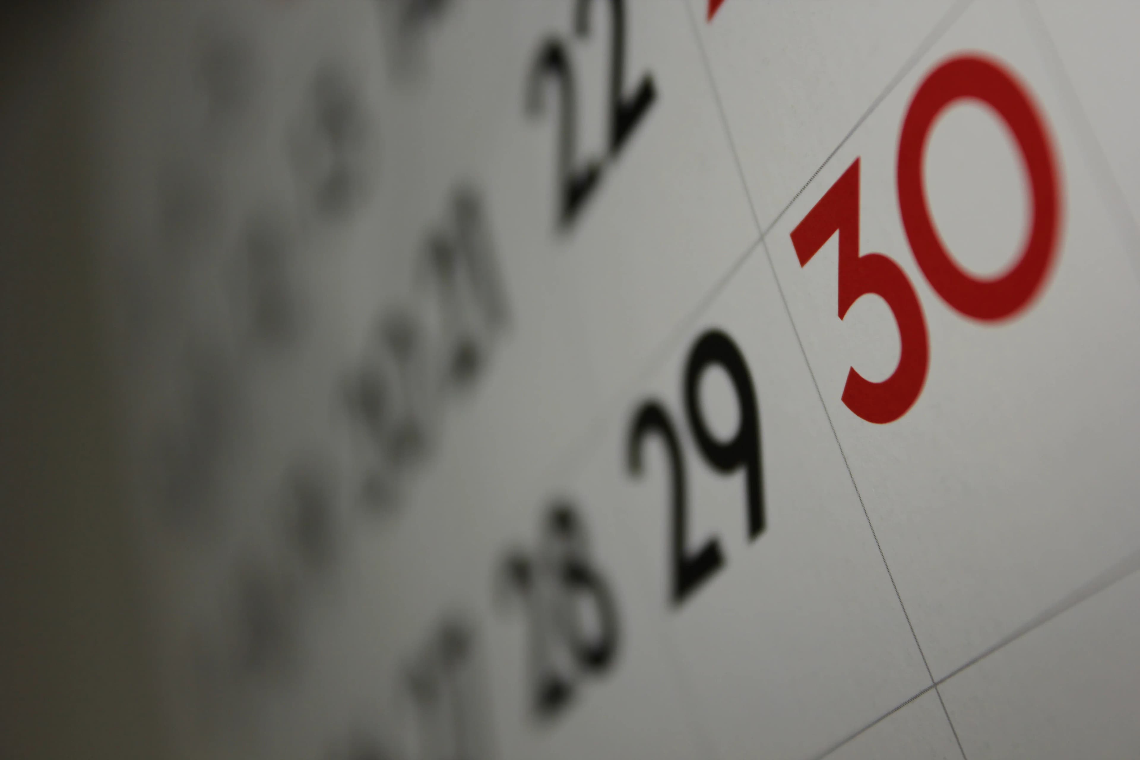 来年11月3日は「競馬の日」。