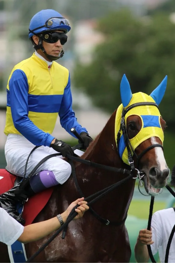 【共同通信杯2017予想】出走馬全馬が本気モード?賞金不足の有力馬揃い踏み!