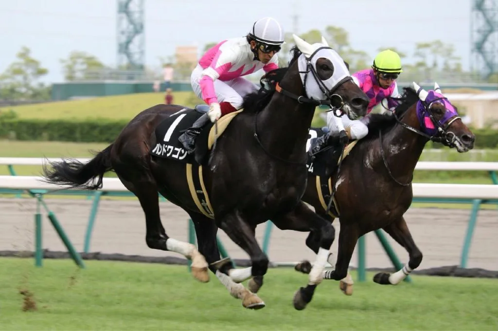 バンドワゴン種牡馬入り、未完の大器の夢は次世代へ