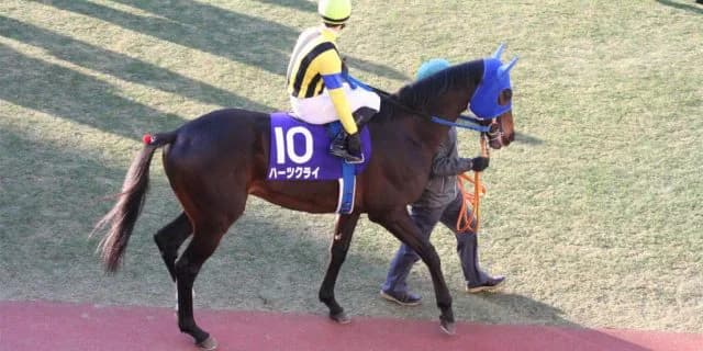 種牡馬になっても争いは熾烈!ハーツクライの偉業とは?