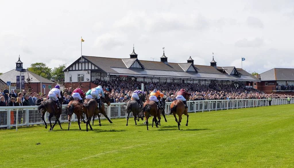 【京王杯2歳S予想2016】左回り未経験が多い中、むしろ歓迎なコウソクストレート!