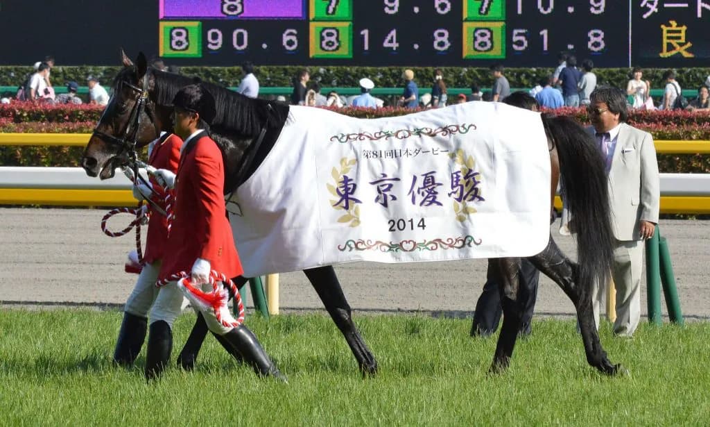 【阪神大賞典2017予想】ワンアンドオンリーここなら