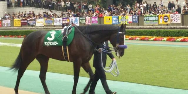 【マイルCS予想2016】超アグレッシブな騎手?!仏のバルザローナ騎手に期待大!