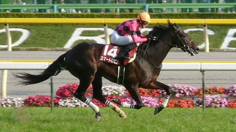 3歳馬が勝利すると出世が約束される?比叡ステークス