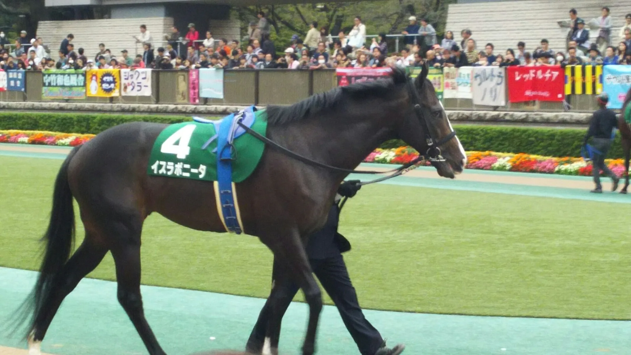【マイラーズC予想2017】勝ち切れないイスラボニータもう銀メダルはいらない!