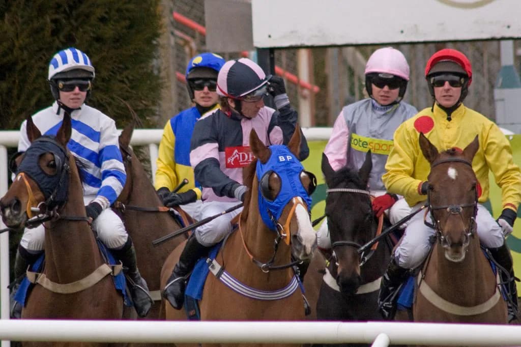 追っている騎手と馬はとことん追え!!