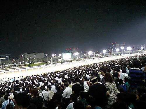 【東京大賞典2016】泣いても笑ってもこれが正真正銘1年で最後のレース!