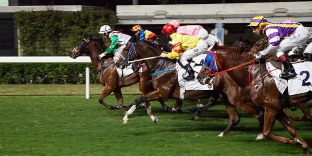 【香港国際競走2016】国内独自オッズは"外国馬"が買い