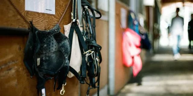 トーセンバジルはジャパンカップを回避、香港ヴァーズへ