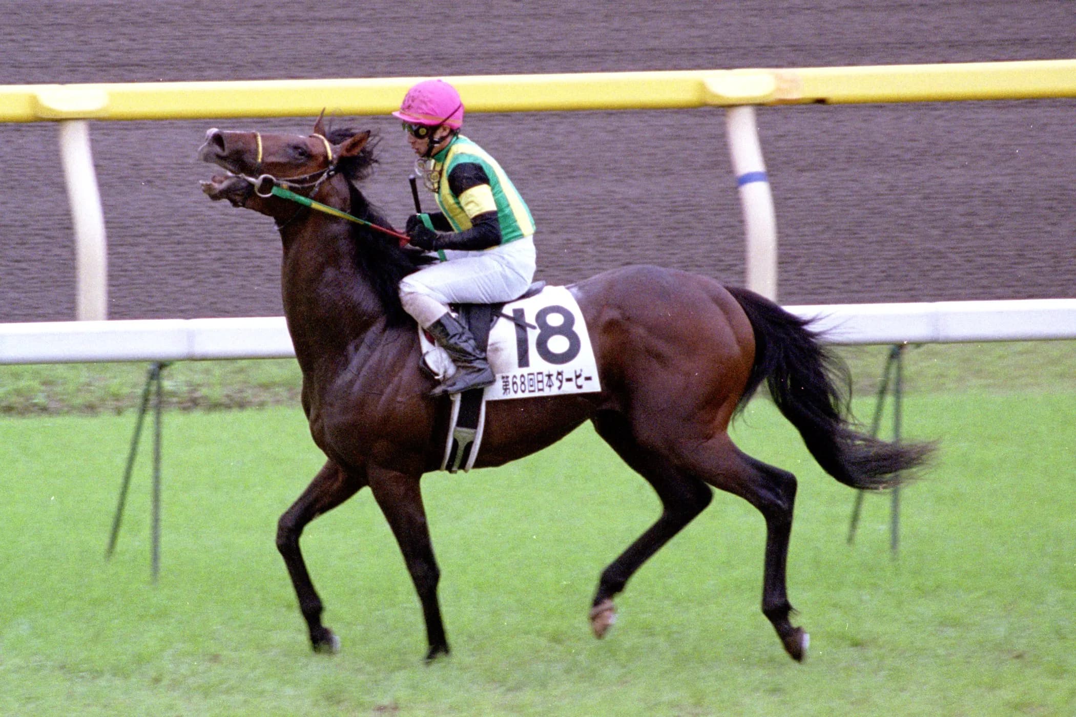 2001年ダービー&JC制覇のジャングルポケット死す、23歳